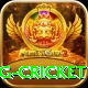 1st inning betting cricket Apps (Tools & Injectors) VIP v2.6.2