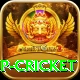 2022 world cup cricket VIP v1.9.1