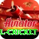 bbl cricket VIP Pro v1.1.6