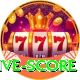 big bash live score