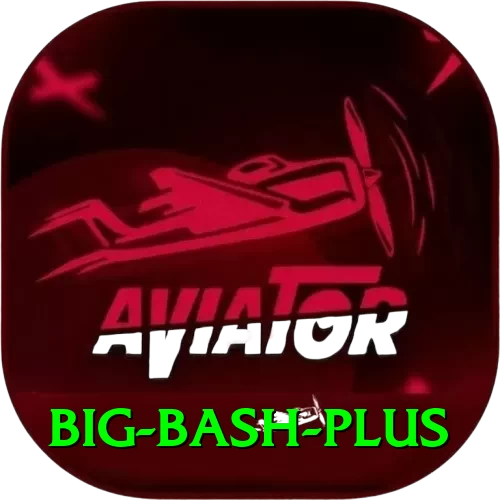 big bash Premium - Casino & Slots - 2