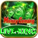 Bingo PKR Live King