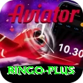 bingo VIP Pro v4.6.6