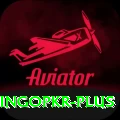 bingopkr Apps (Tools & Injectors) Ultimate v4.0.2