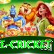 bpl live cricket Games (Casino & Earning) Pro v1.0.9