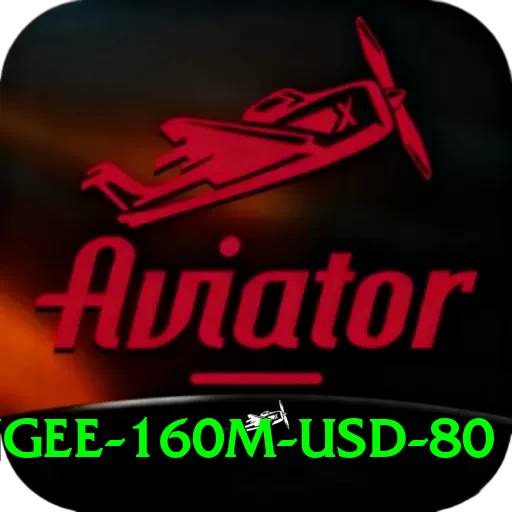 bungee 160m usd 80 Apps (Tools & Injectors) Plus v2.0.8 - 2