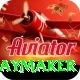 cam playmaker Gold v4.0.4
