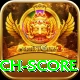cricket match score Pro