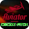 cricket pitch Apps (Tools & Injectors) Elite v1.8.8