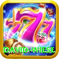 david wiese Deluxe Pro v3.4.0