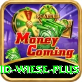 david wiese Casino Official v1.8.9