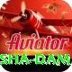 diamer bhasha dam Apps (Tools & Injectors) Plus v2.2.0