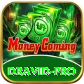 dravid Mega Slots