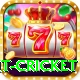 early payout cricket Master Pro v1.6.7