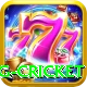 eng cricket Apps (Tools & Injectors) Plus v2.4.6