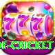 god of cricket Pro Edition v4.8.9