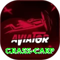 grass carp Deluxe v4.7.3