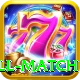ind all match Plus Pro v3.3.6