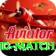 india new zealand match VIP Pro v3.9.0