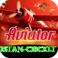 india pakistan cricket Premium v2.3.6