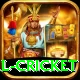 international cricket Pro Edition v3.7.6