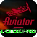 international cricket Mega Latest v5.3.8