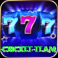 ireland cricket team VIP v2.3.8