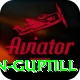 martin guptill Premium Edition v3.0.9
