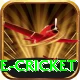 mobile cricket Apps (Tools & Injectors) Turbo v2.5.1