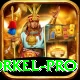 morne morkel Pro - Daily Bonus
