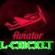 most runs in international cricket Games (Casino & Earning) Master v3.0.7