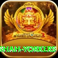 naseem shah yorkers Gold Edition v2.5.4