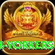 naseem shah yorkers Gold Edition v2.5.4
