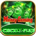 nepal cricket Deluxe - Free Download