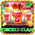 new zealand cricket team Pro v5.9.3