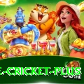 one cricket Casino Official v4.3.3