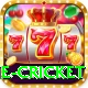 online cricket Master v2.8.0