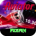 pkspin Pro1 v3.9.2