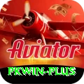 pkwin Ultimate v2.2.0