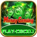play cricket Apps (Tools & Injectors) Gold v5.0.9