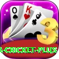 r cricket Mega APK v2.0.5