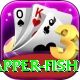 red snapper fish Pro Edition v4.6.7