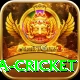 sa cricket Gold v2.3.7