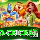t20 cricket Gold Edition v5.0.3