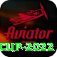 t20 world cup 2022 Premium v4.3.4