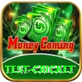 test cricket Elite Pro v2.3.8