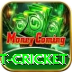 test cricket Elite Pro v2.3.8