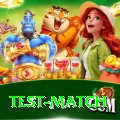 test match Elite v4.8.3