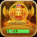 tiger888 Gold vv4.1.5