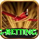 turkey super lig betting Premium Edition v1.5.5